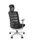 Кресло компьютерное Спинелли эргономичное CHAIRMAN SPINELLY Спинелли