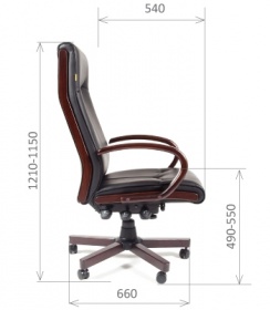 Кресло руководителя компьютерное CHAIRMAN 411 эко кожа